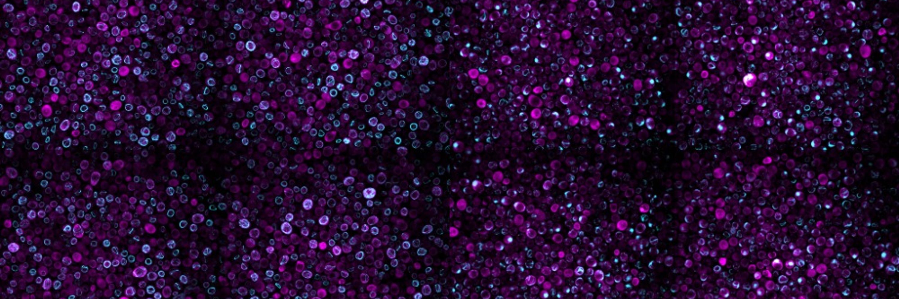 Stowers Microscopy