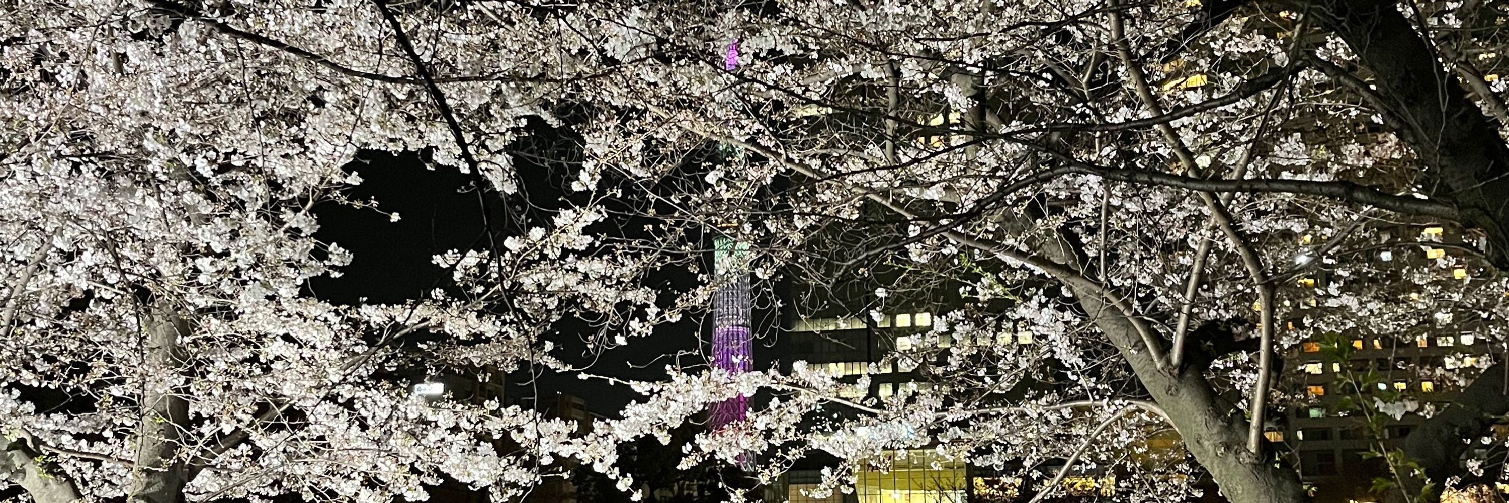 スク