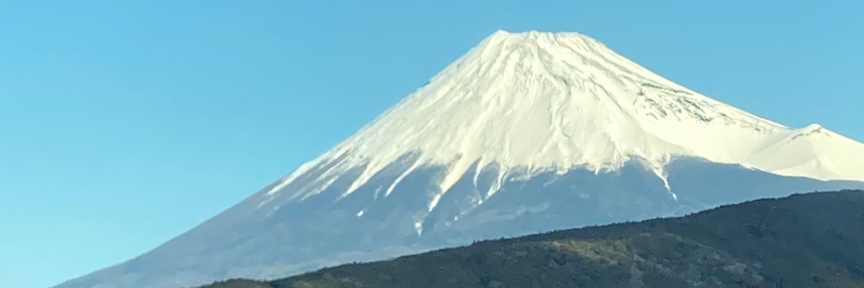 ゆっこりん
