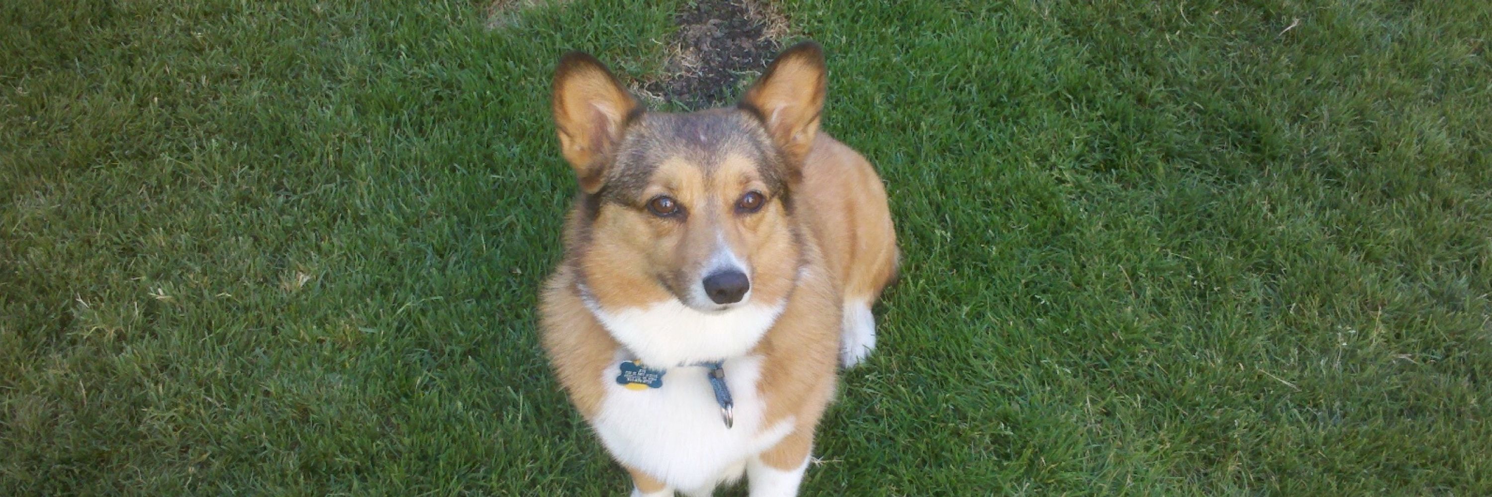 Zoe
