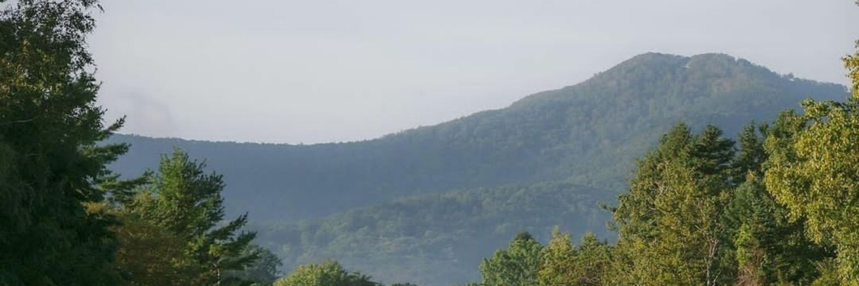 aronroong_