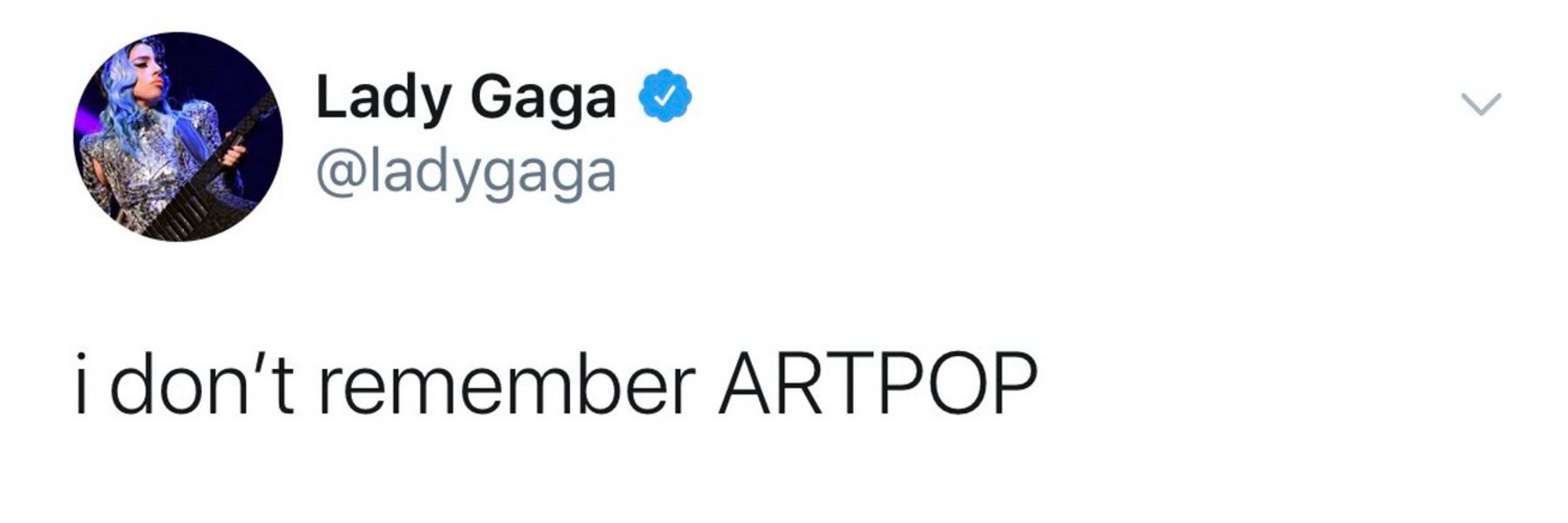 Vyny Baraldy Gaga