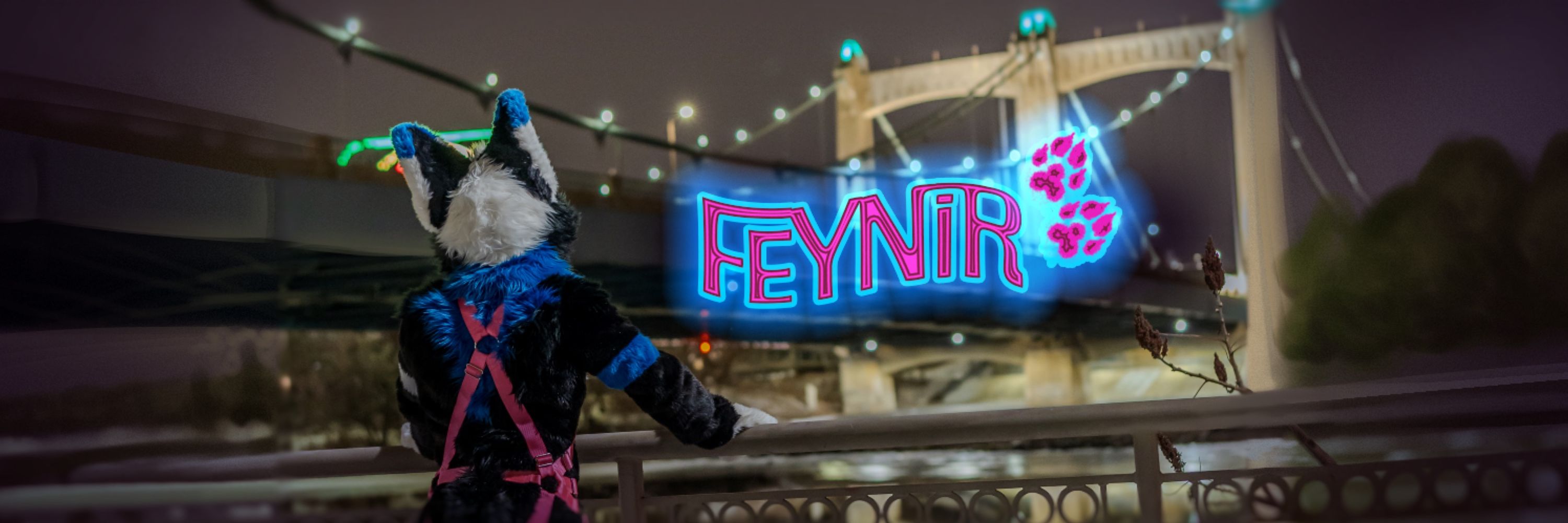 FeynirHusky🔜MN🏠