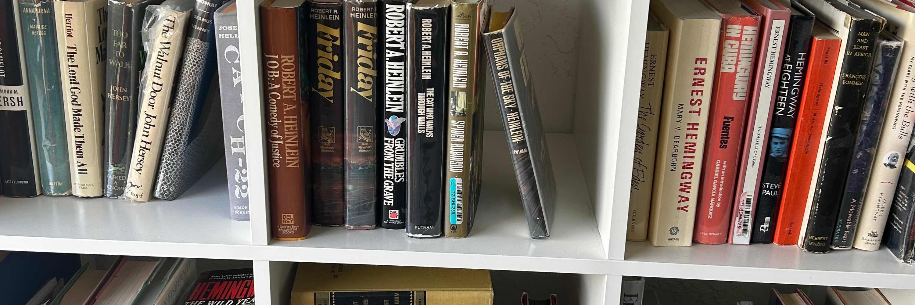 Burning Tree Books 