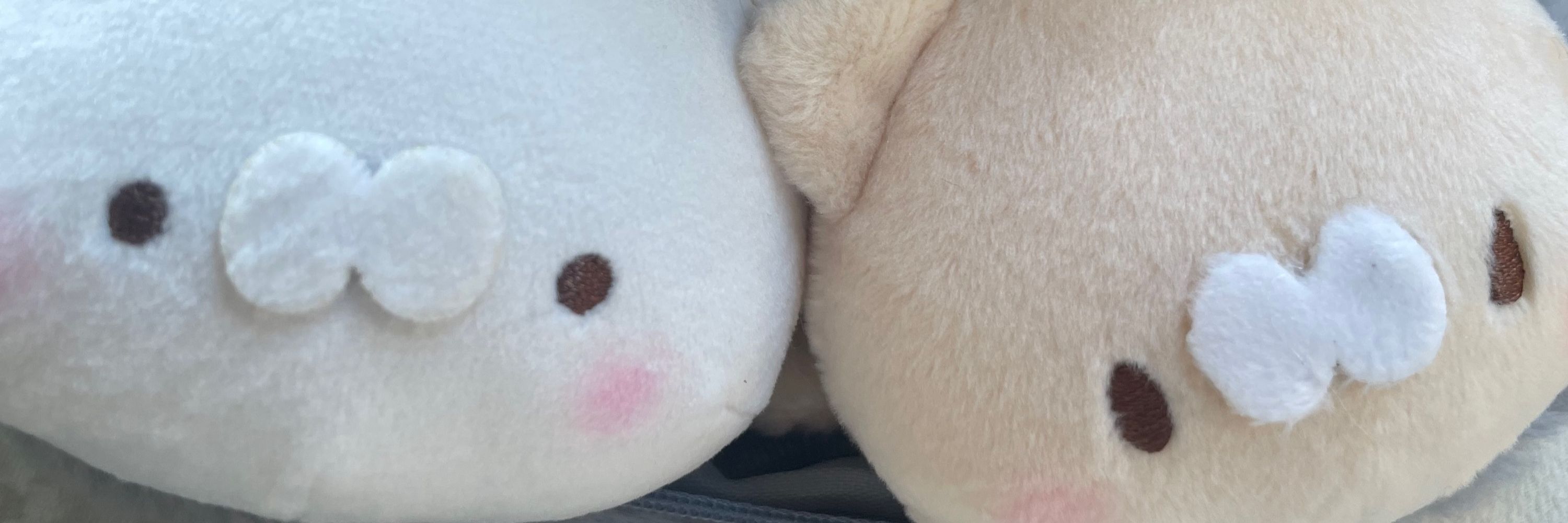 こ の か