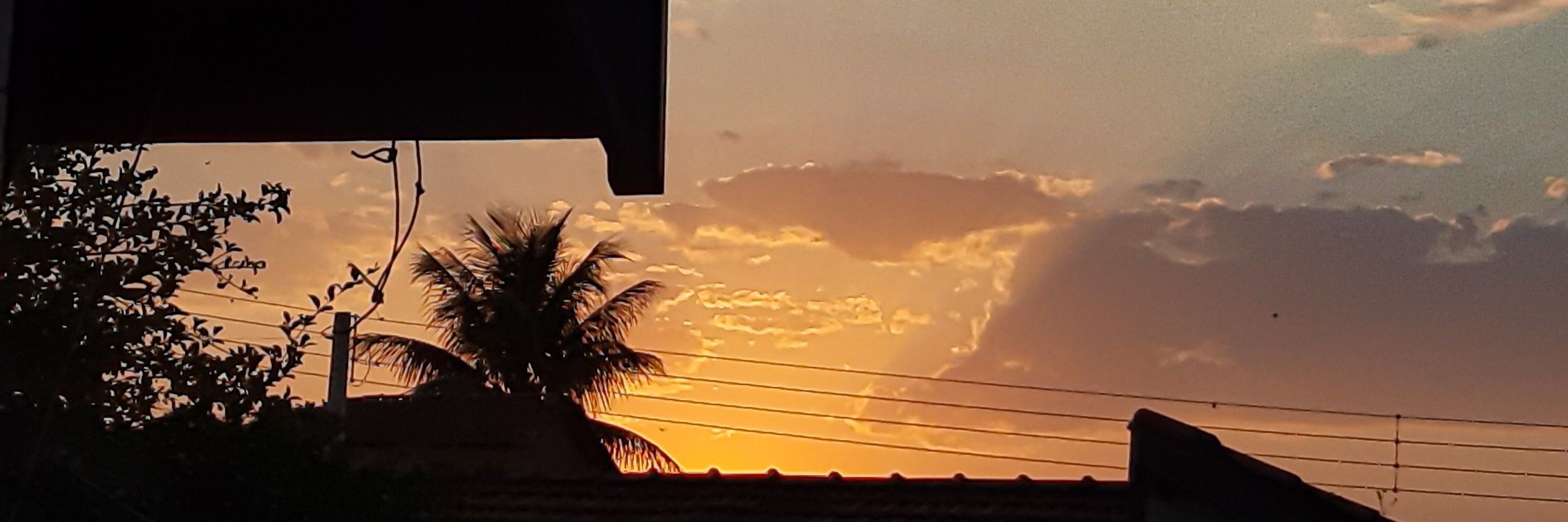 Neguinho.