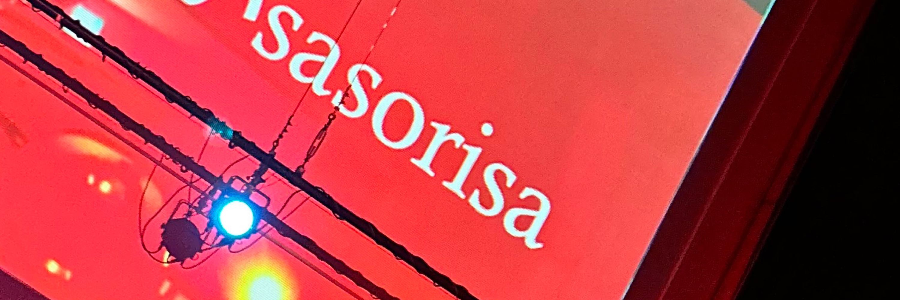 sasorisasasa