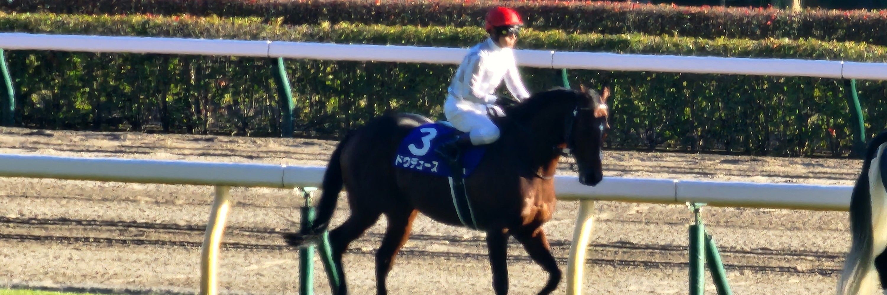 黄金の船