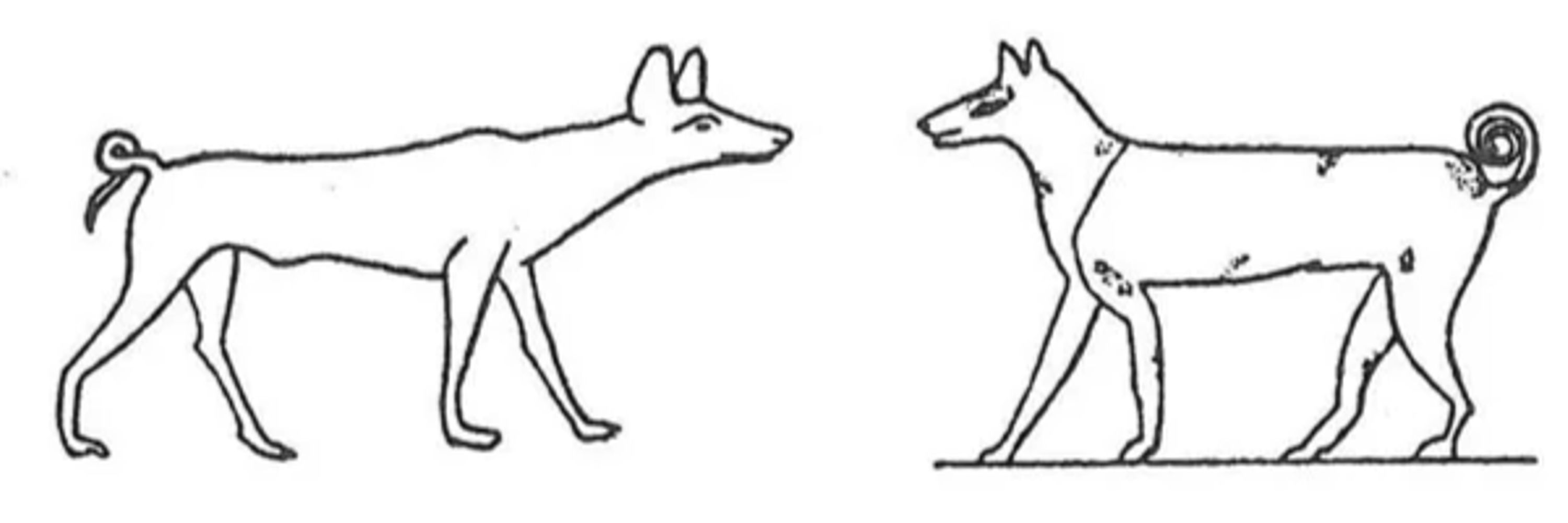 the wœrm