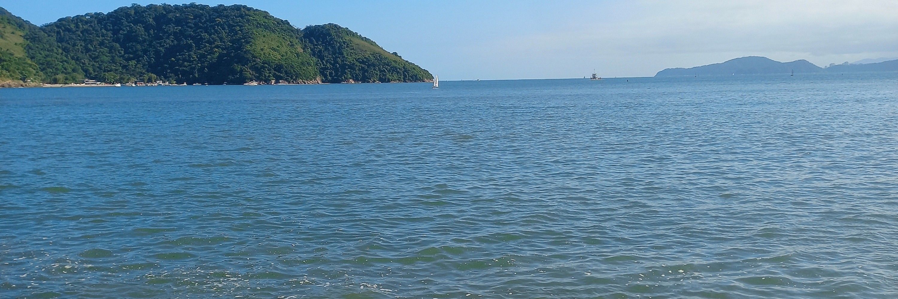 vianna