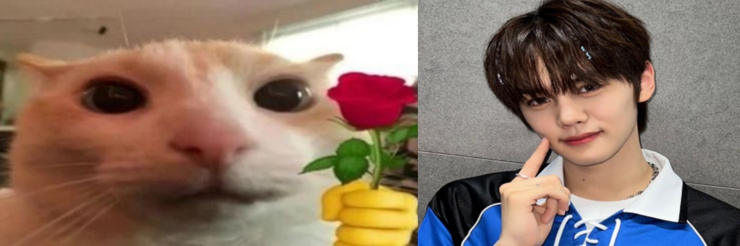 lay