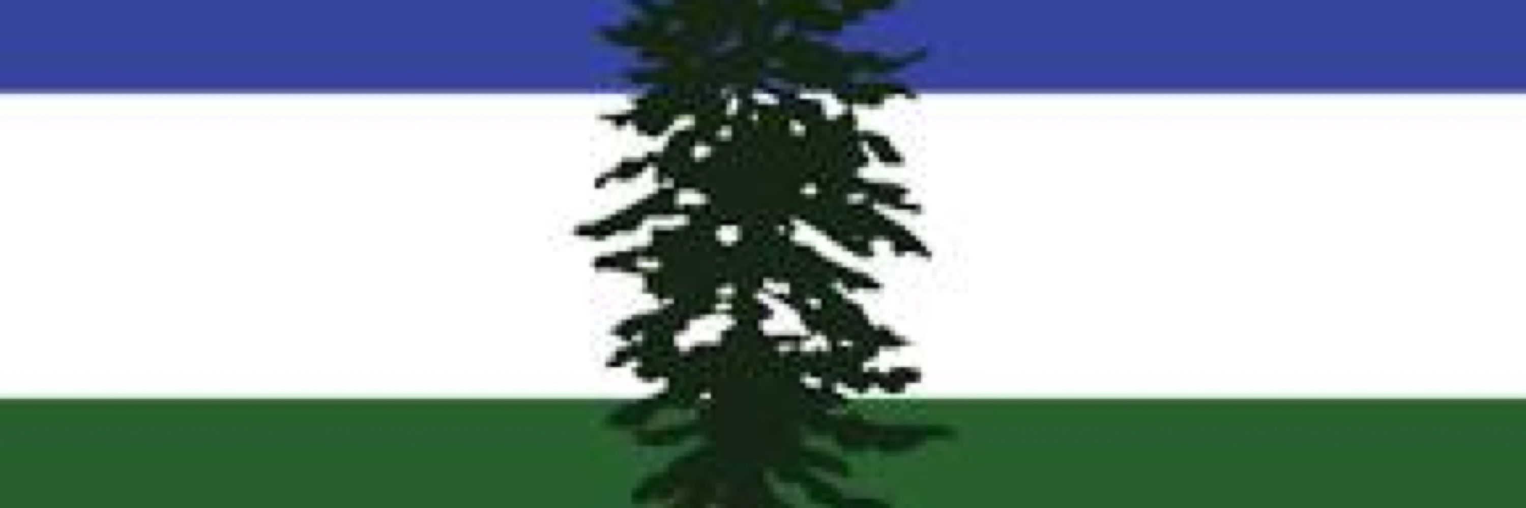 RufousHariasa