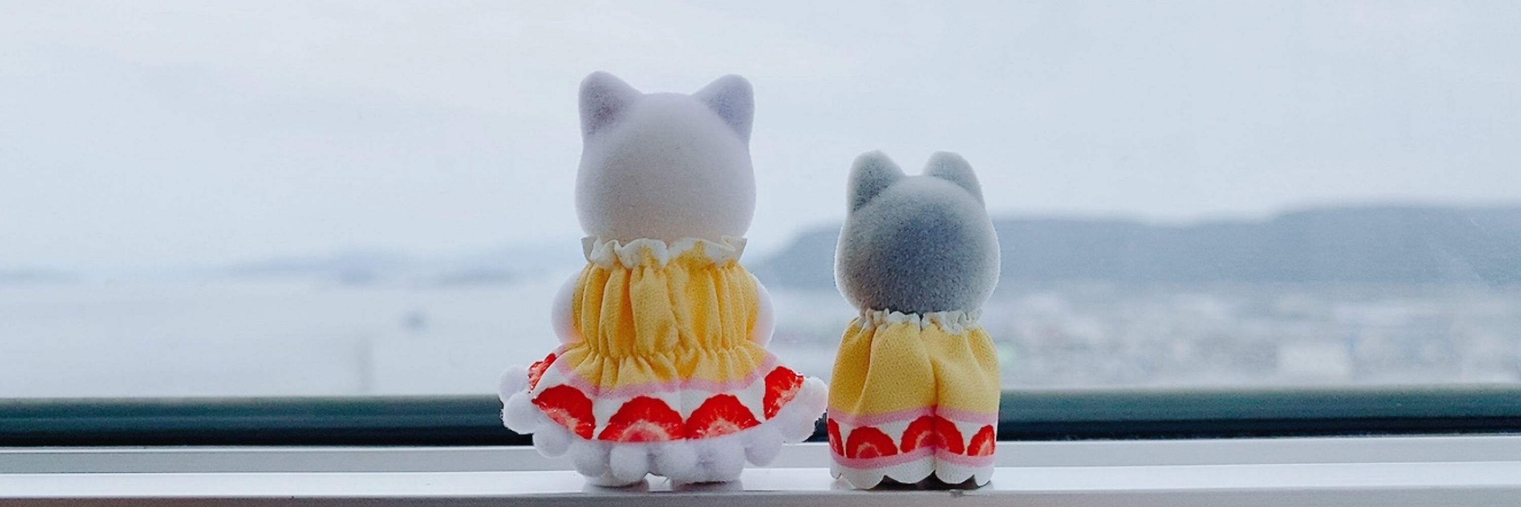 おもち