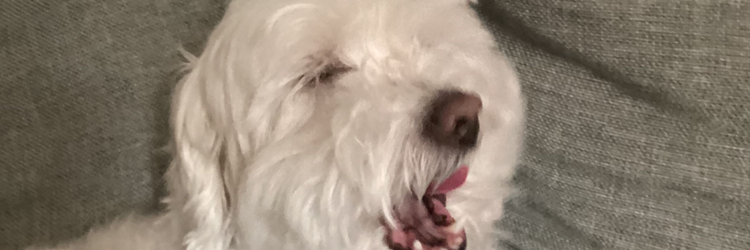 Brian