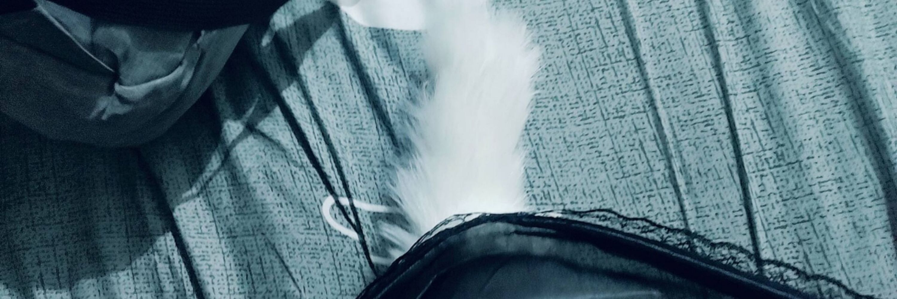 涩狐