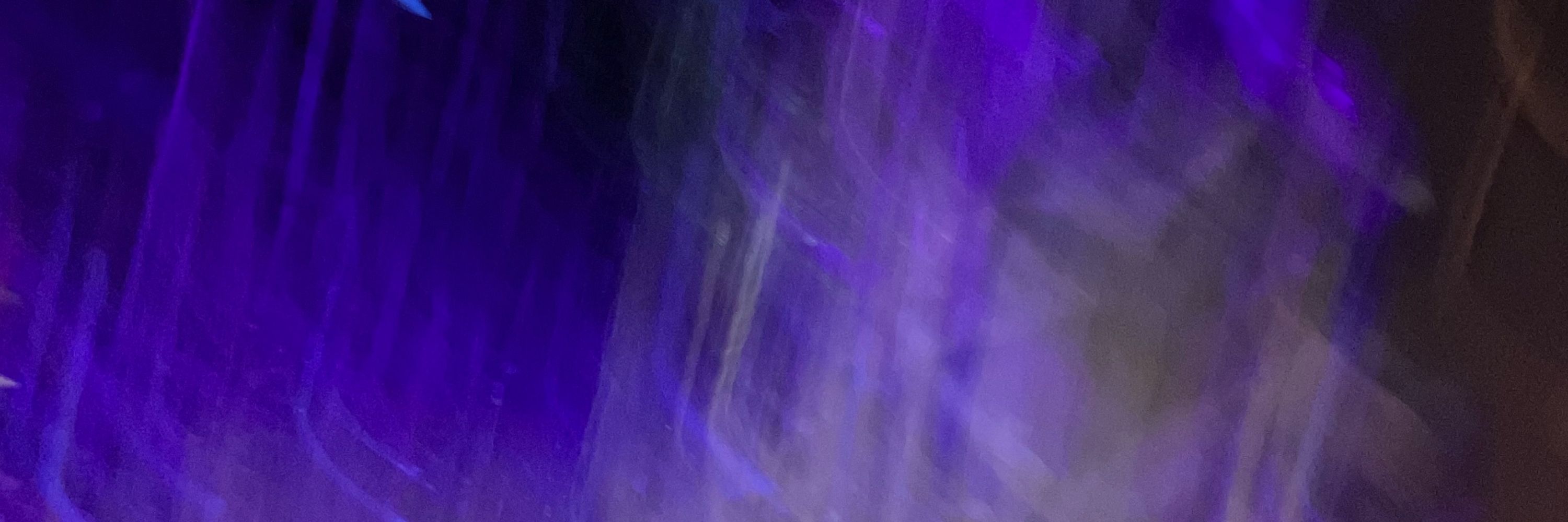 森季