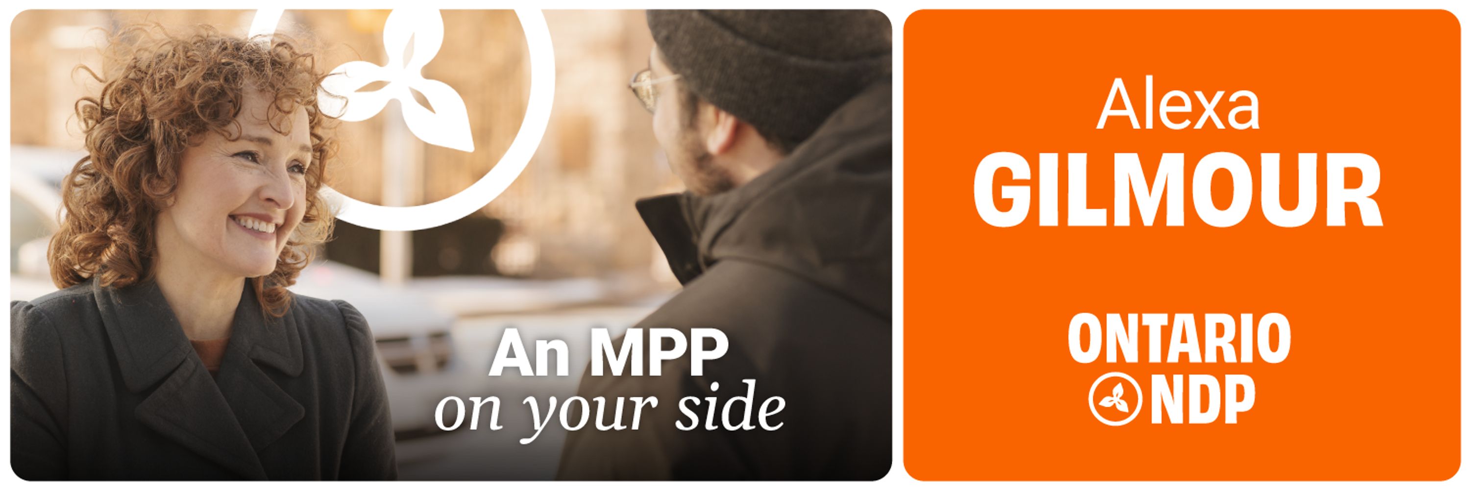 Parkdale—High Park NDP