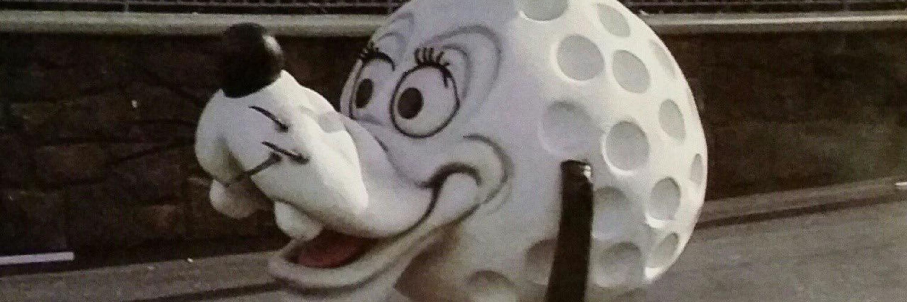 dori :3