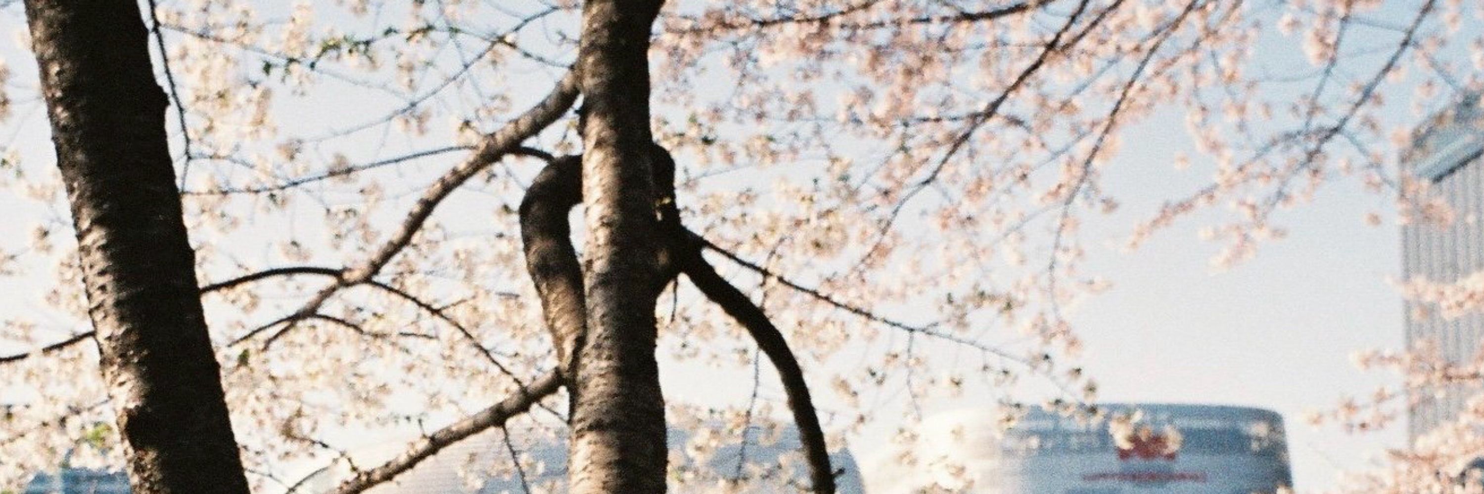 〜