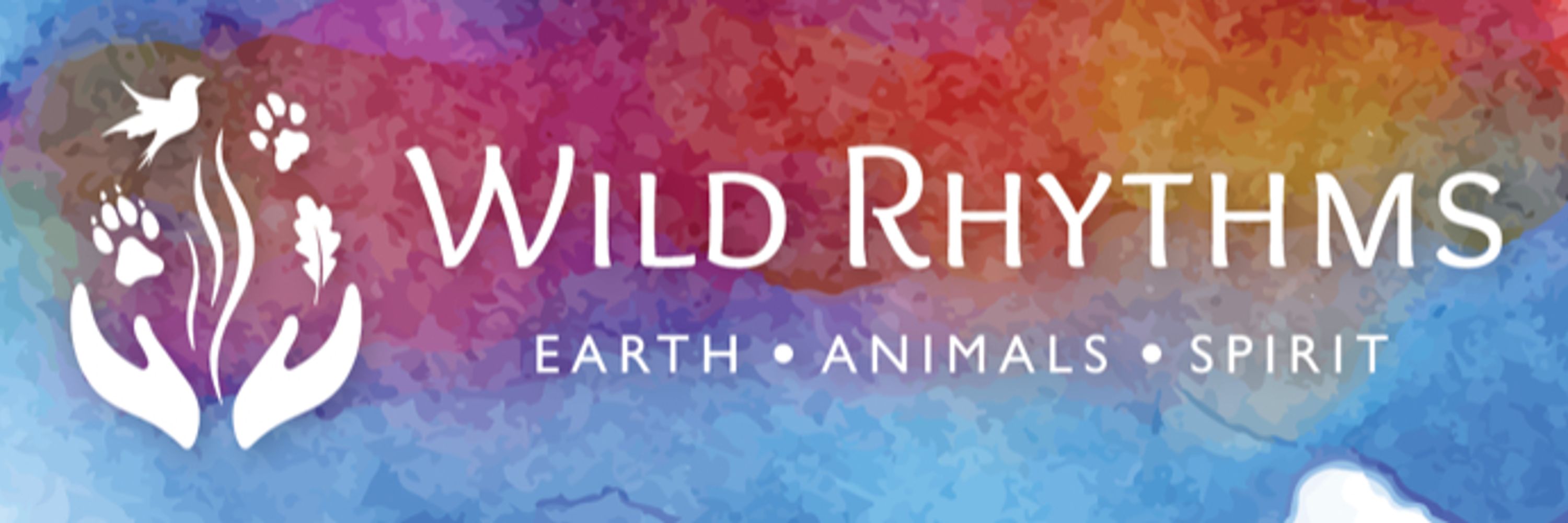 Deb Matlock & Wild Rhythms, LLC (She/Her)