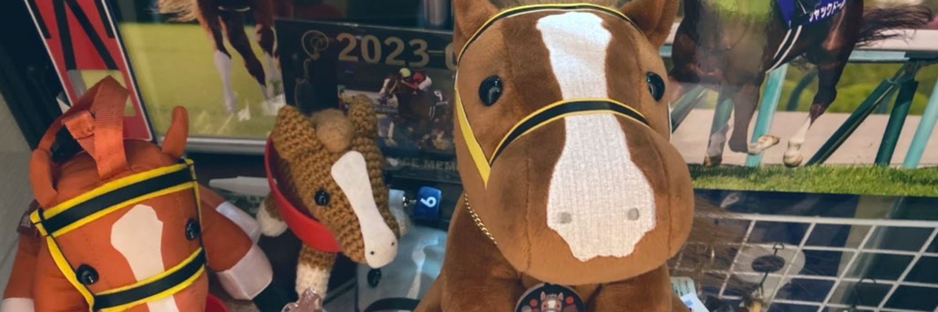 こなゆき🐎⚾️
