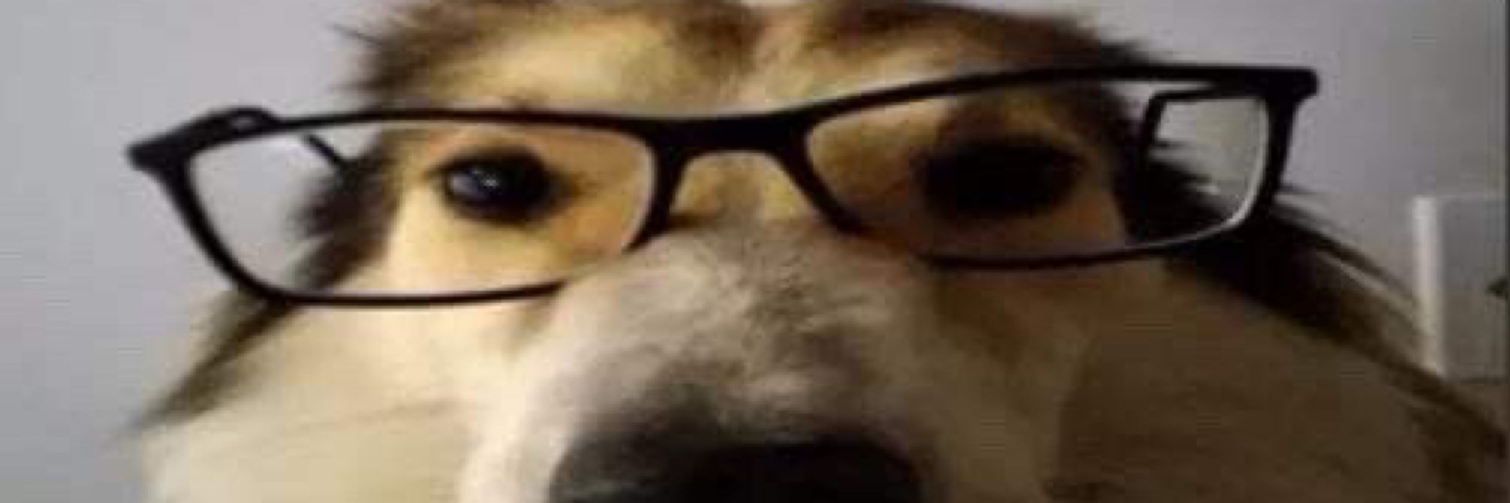 A ESTR4NGUL4DOR4 D4 ROCINH4