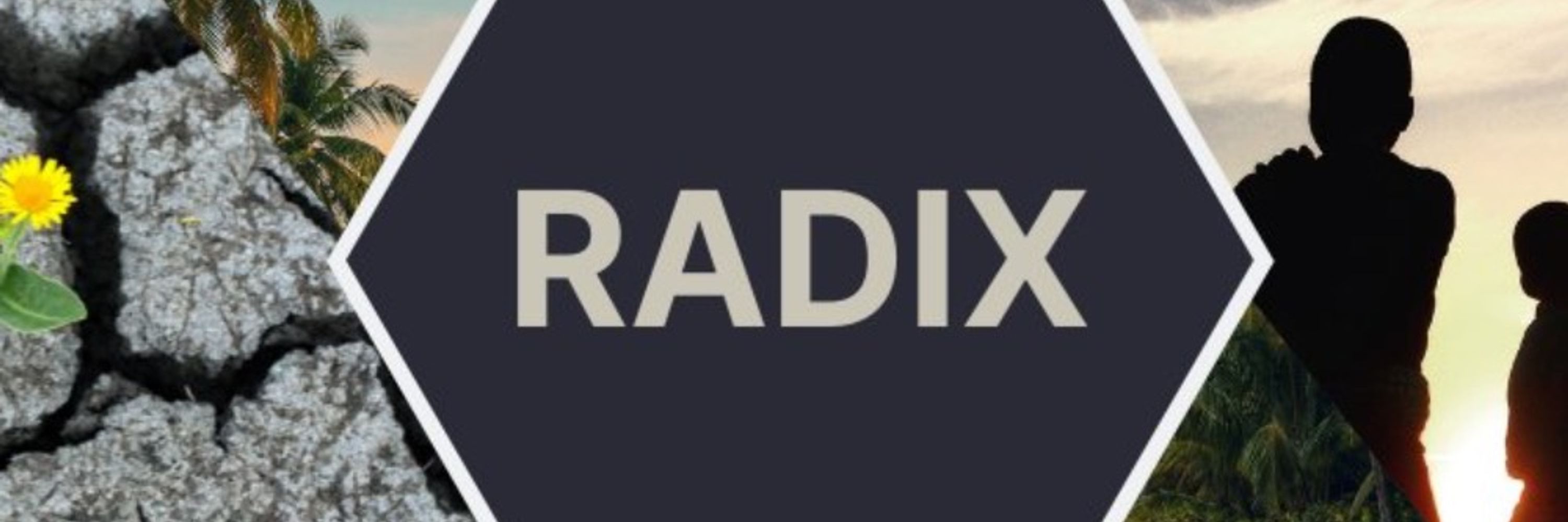 Radix