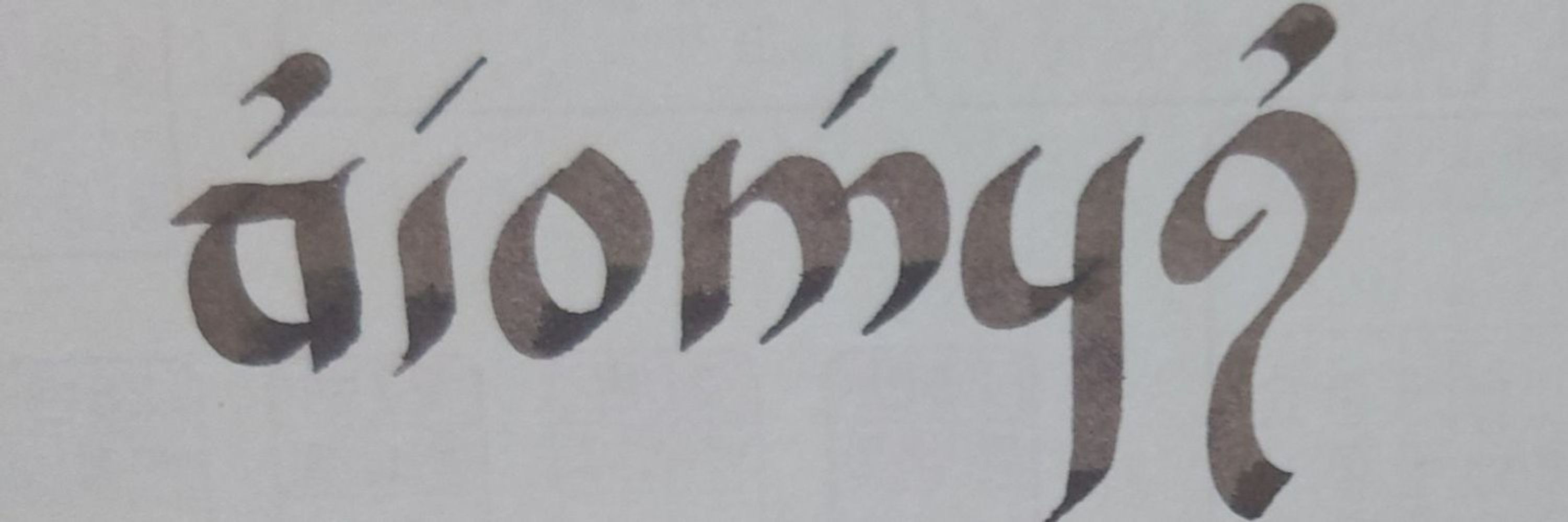 拳王웨닉
