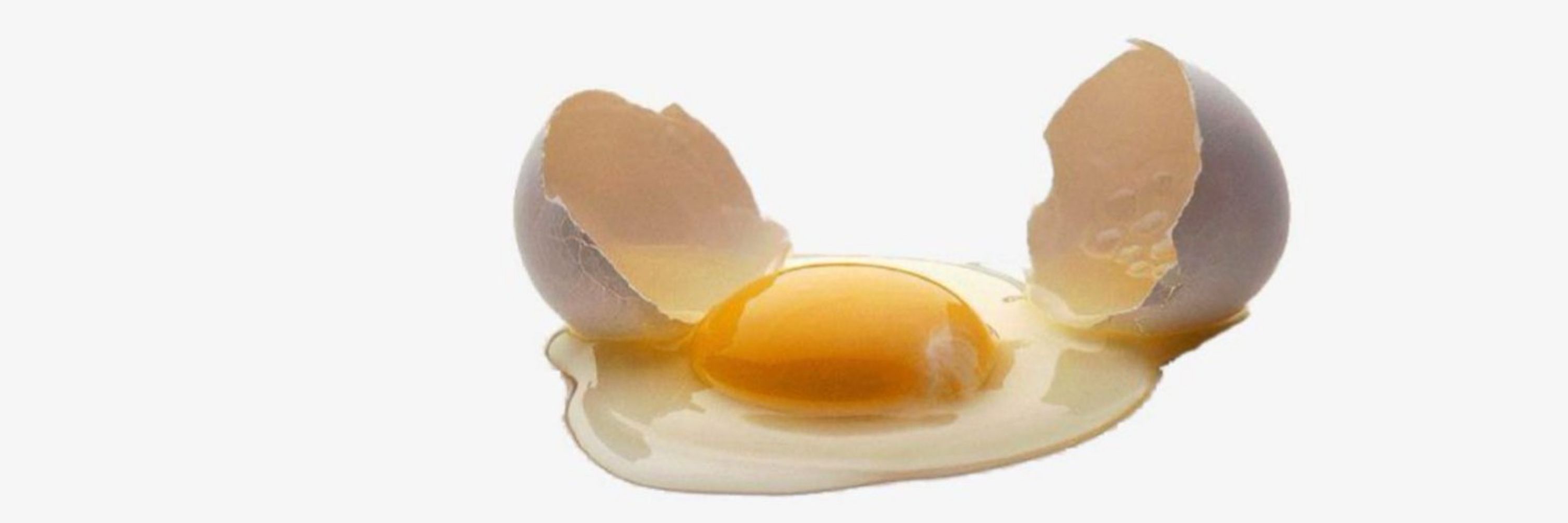 egggify