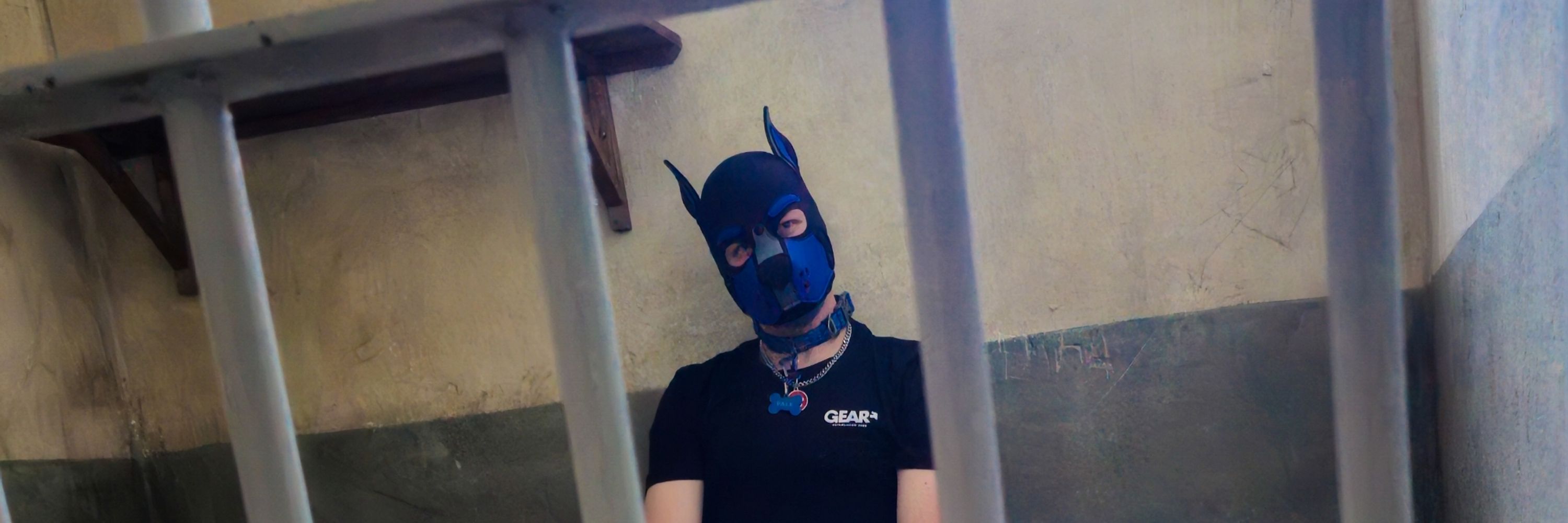 Pup Falk