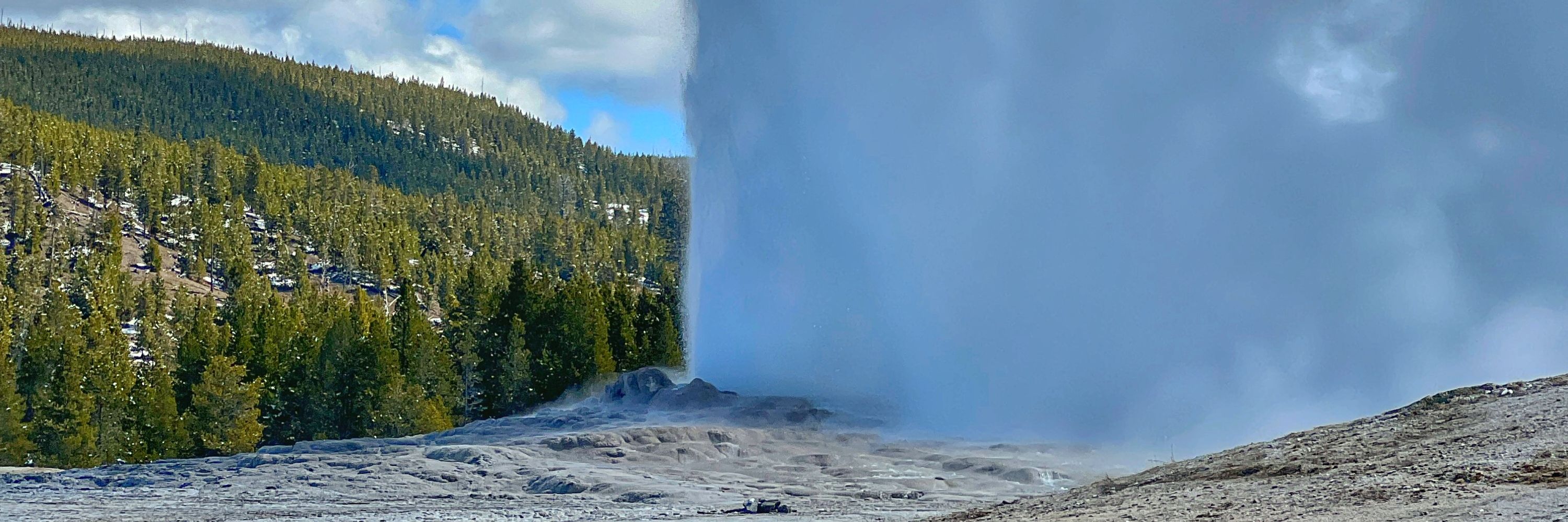 A Yellowstone Life