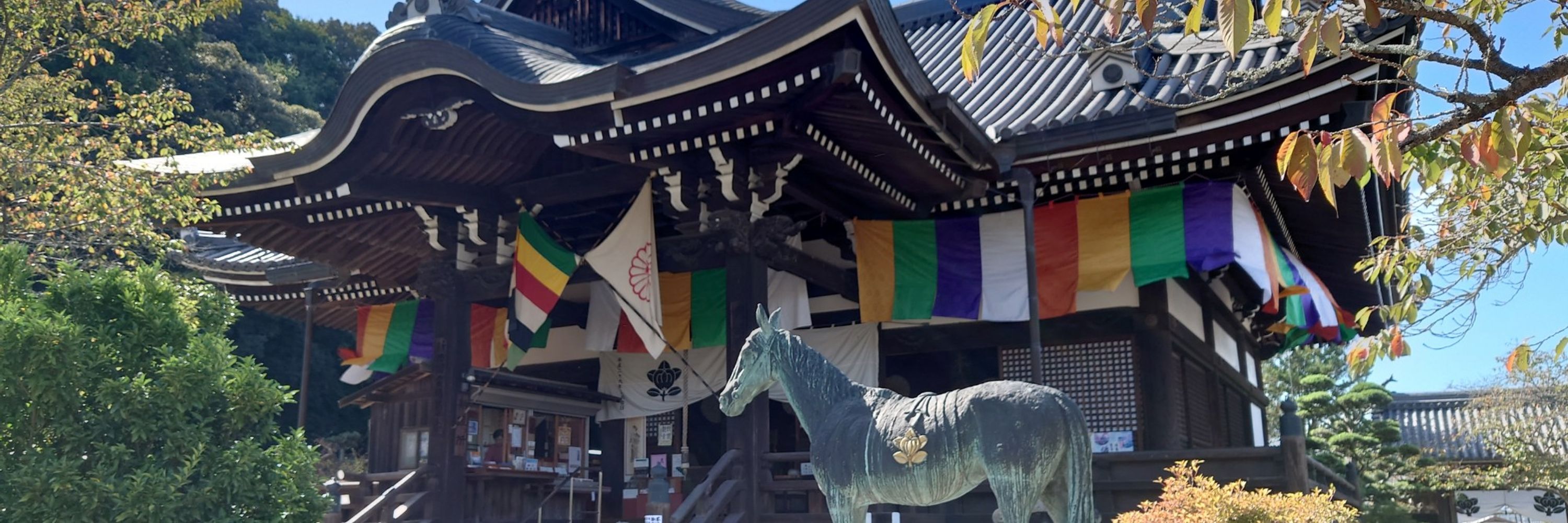 タカズ