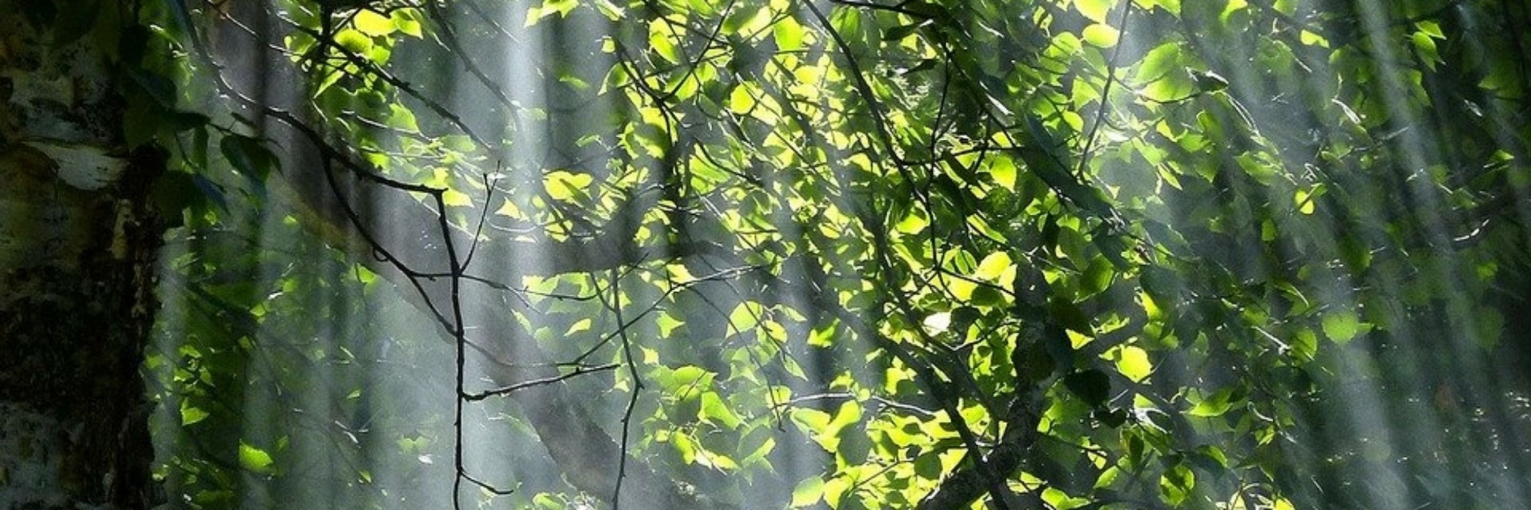 긴여름