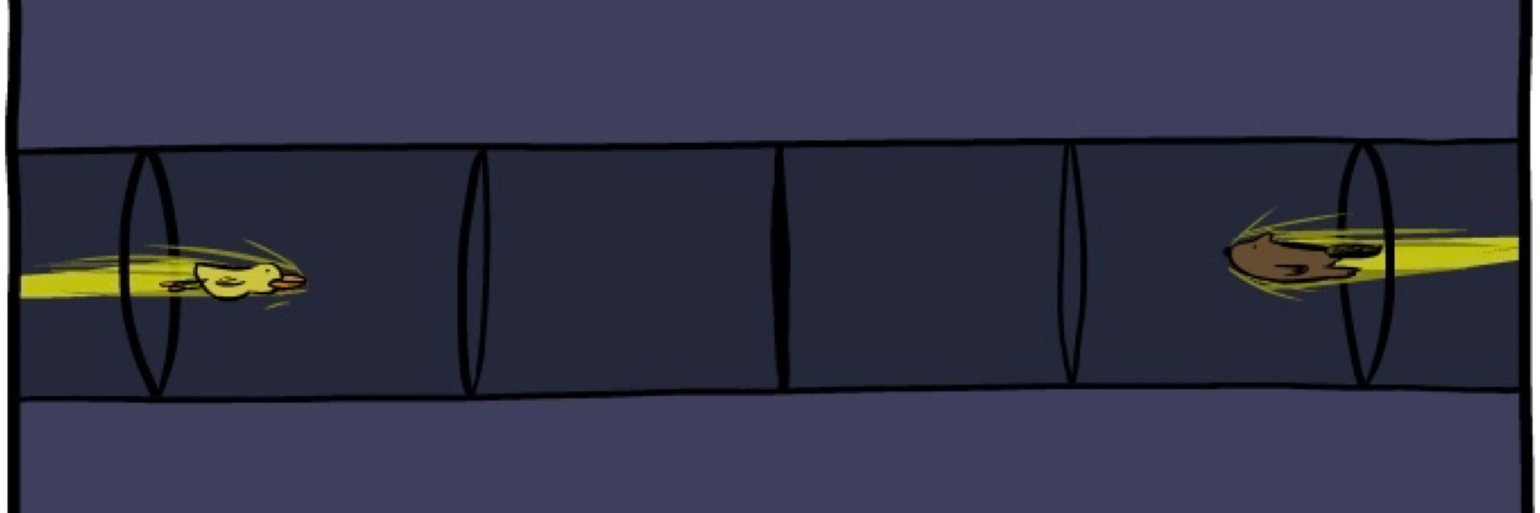 Profile banner