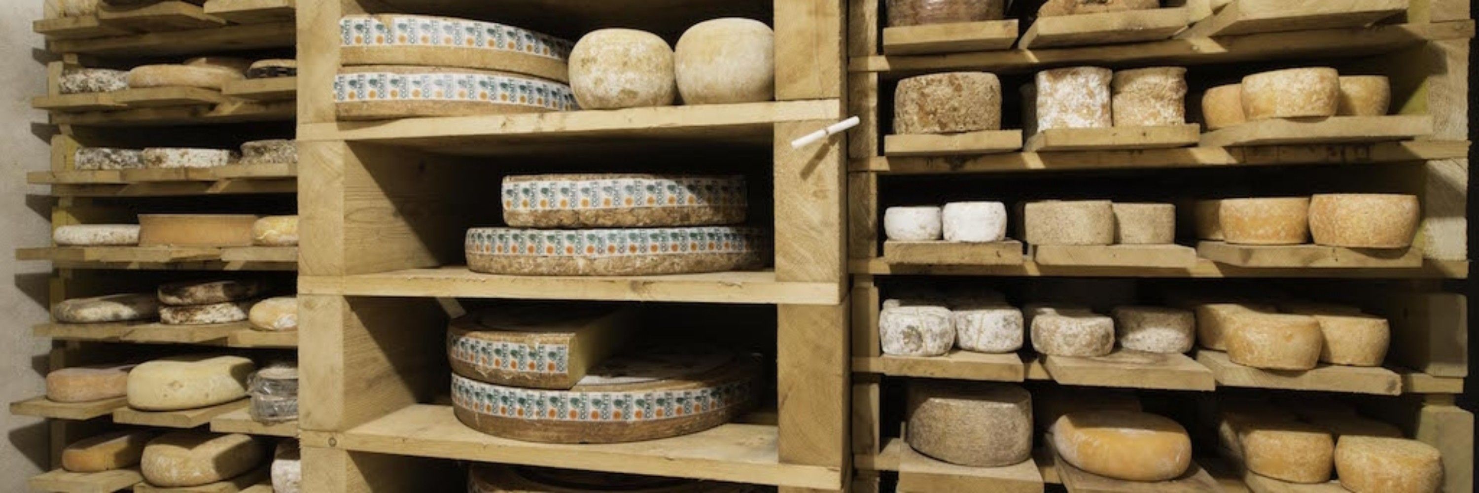Noémimolette