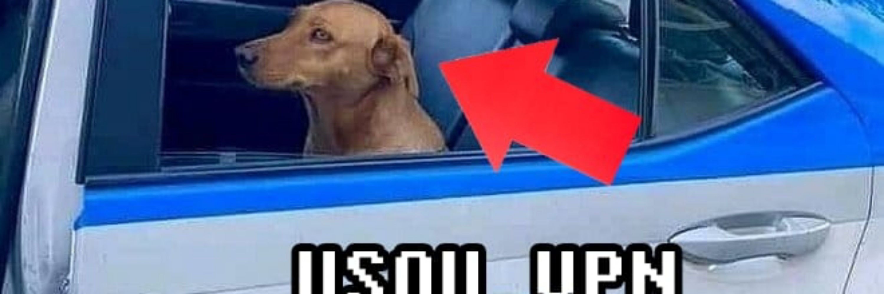 Mitinho