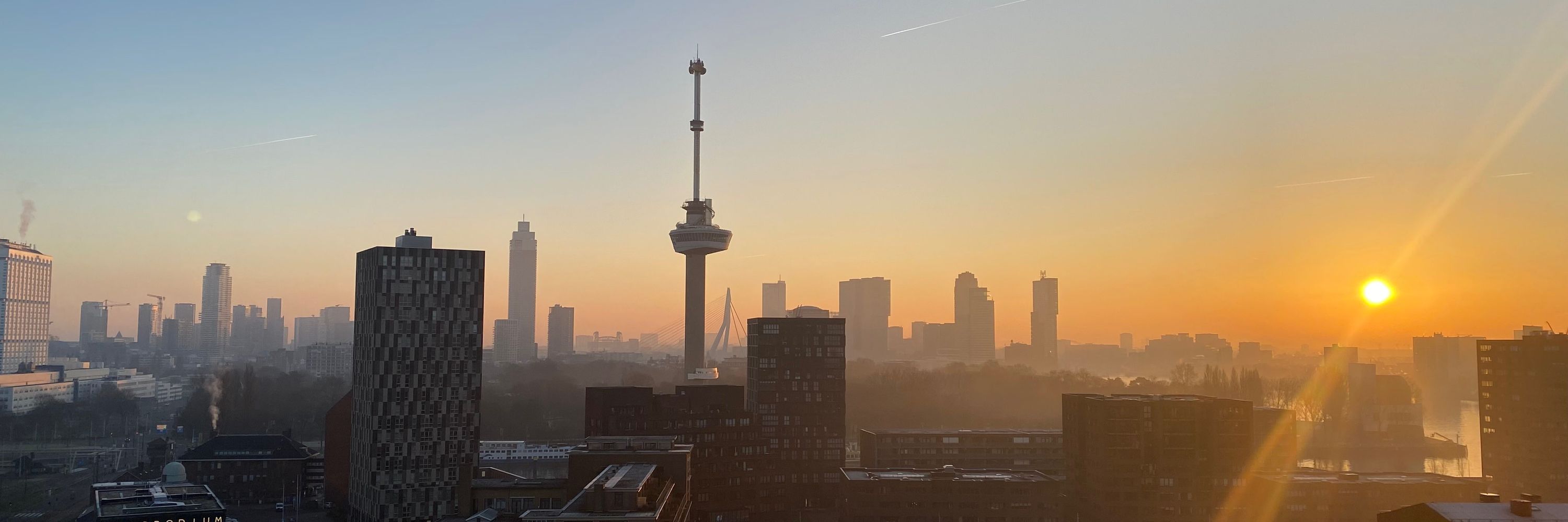 Rotterbram