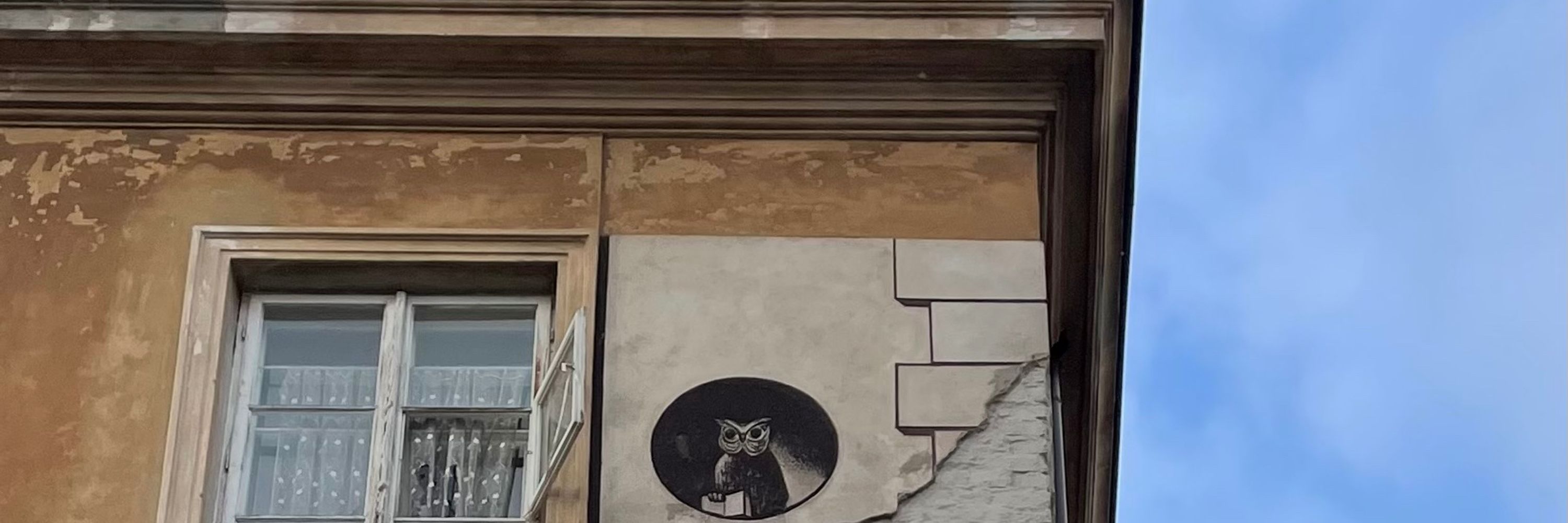 Uli