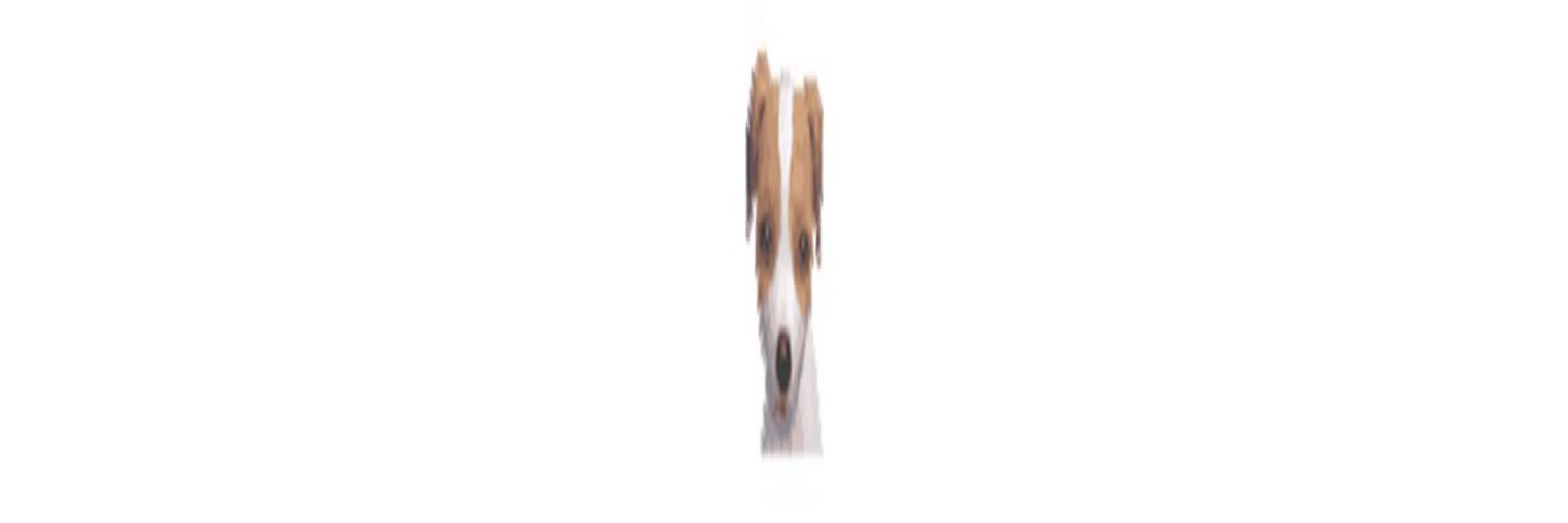 気まらない