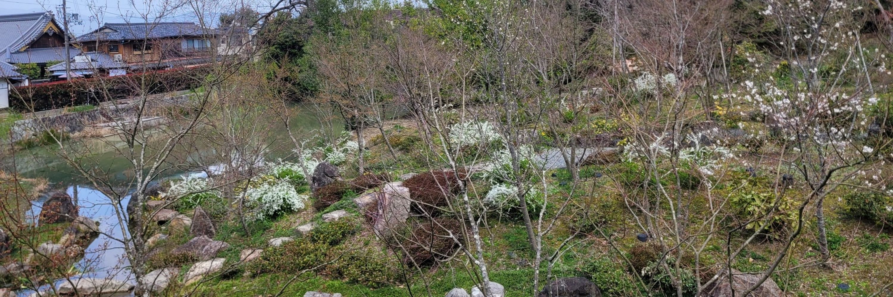 stikoly