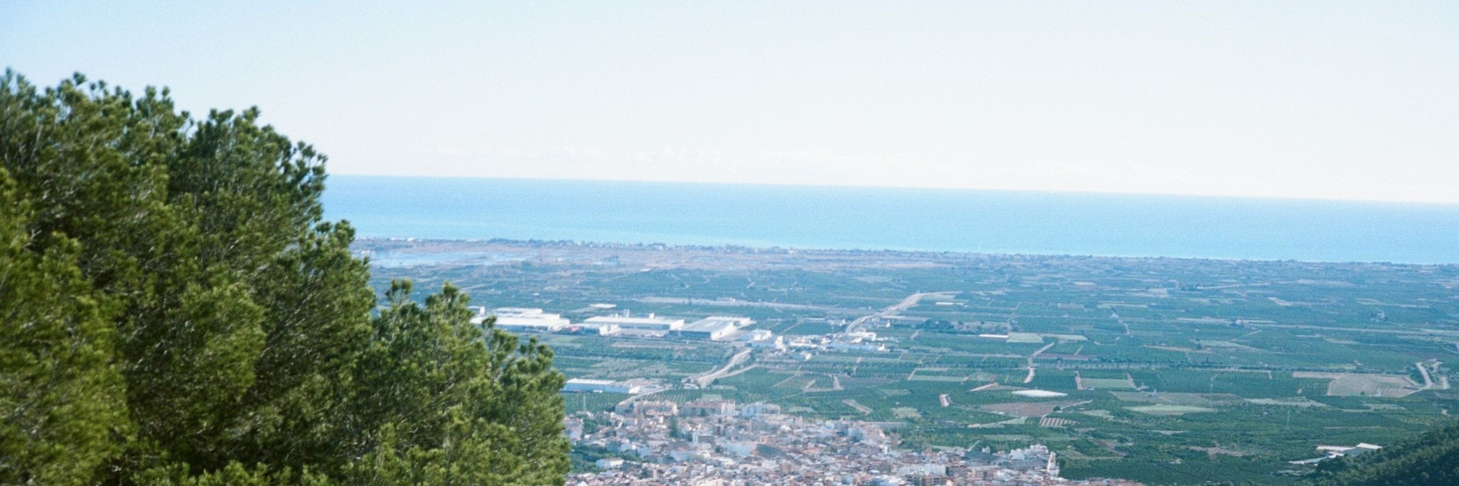 micentí