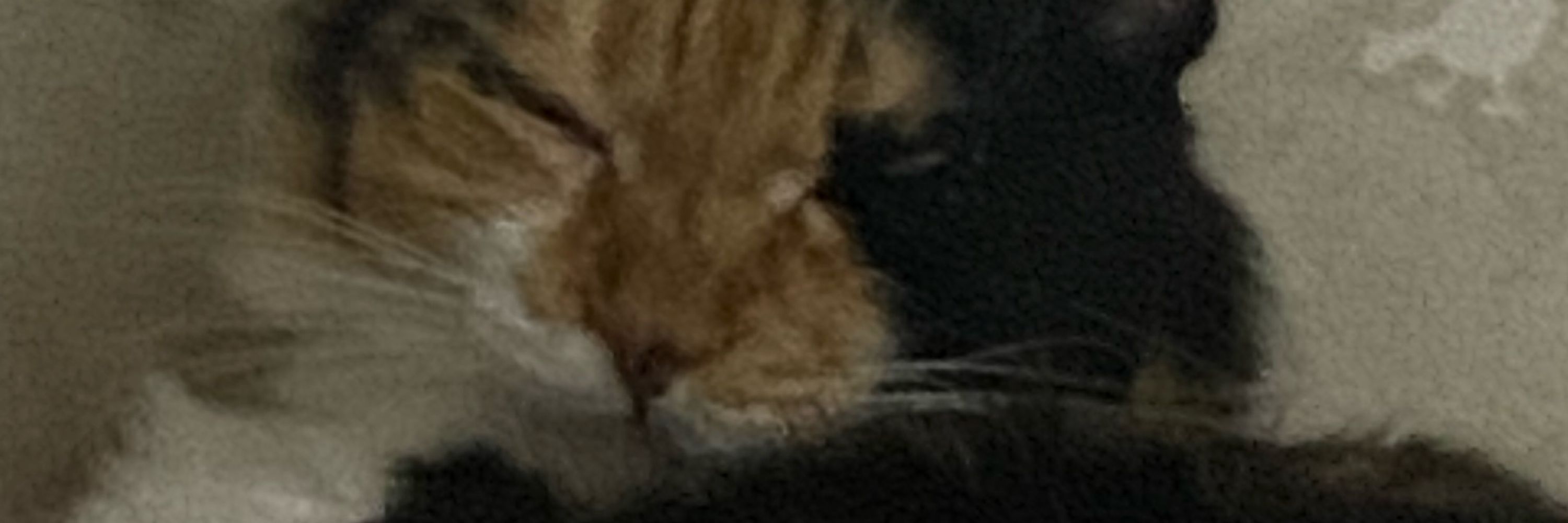 I💋