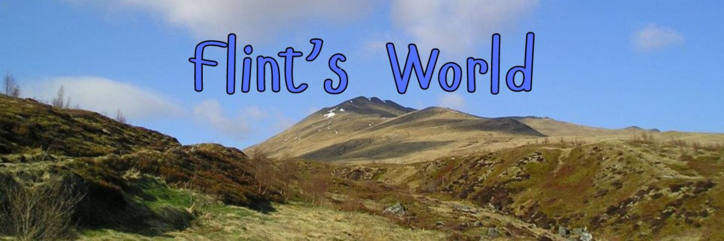 Flint's World