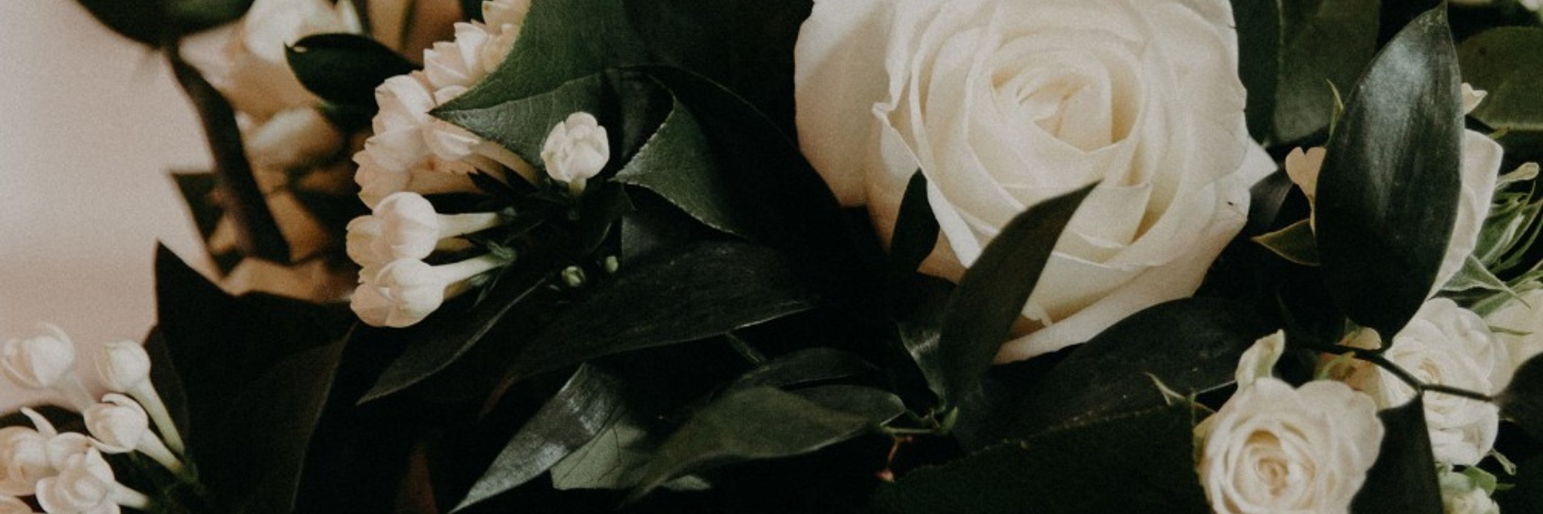 MJ Bowman is querying Sapphic Romantasy!
