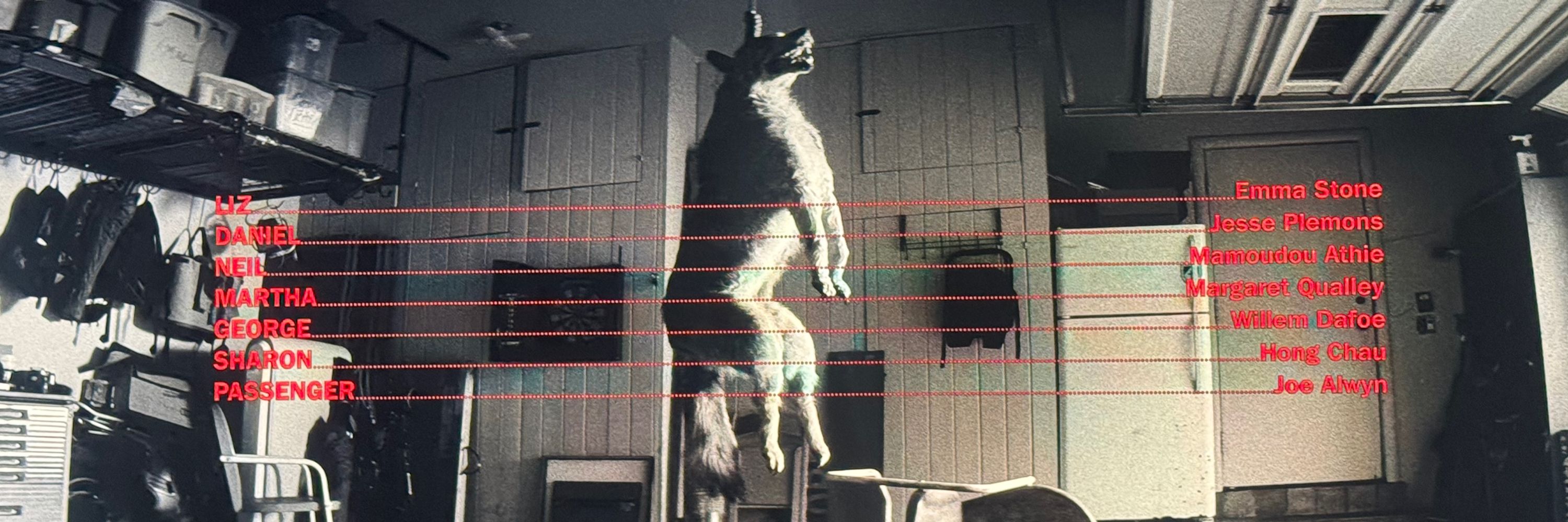 Bo