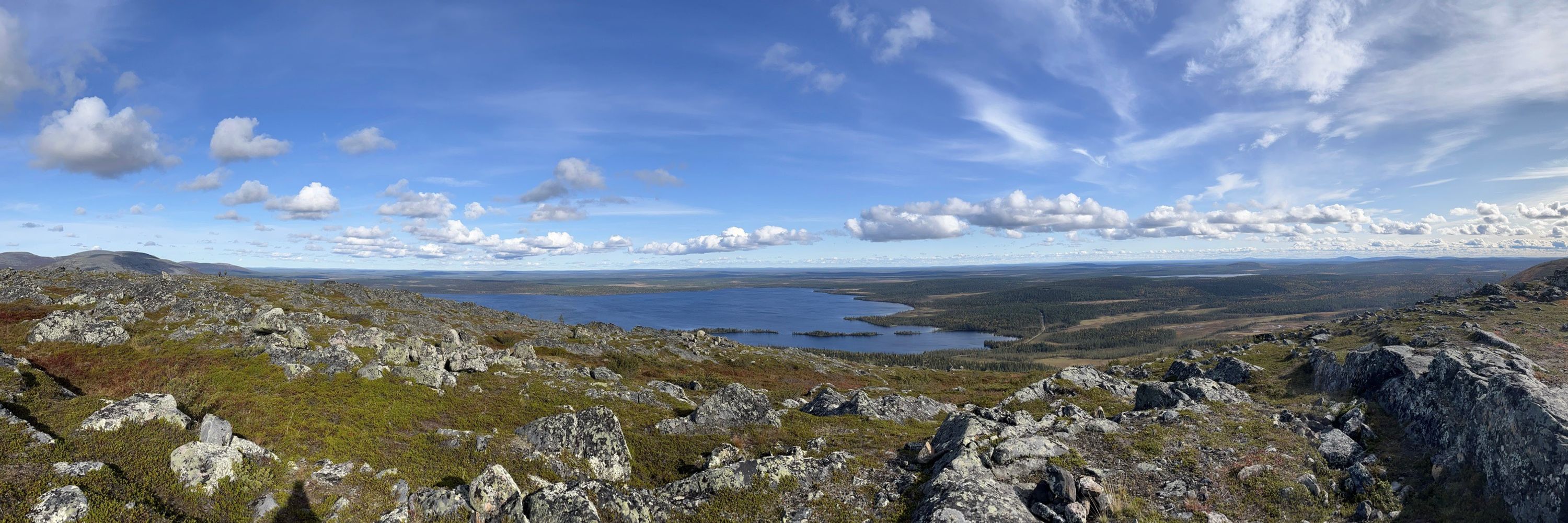 Otso Ollikainen