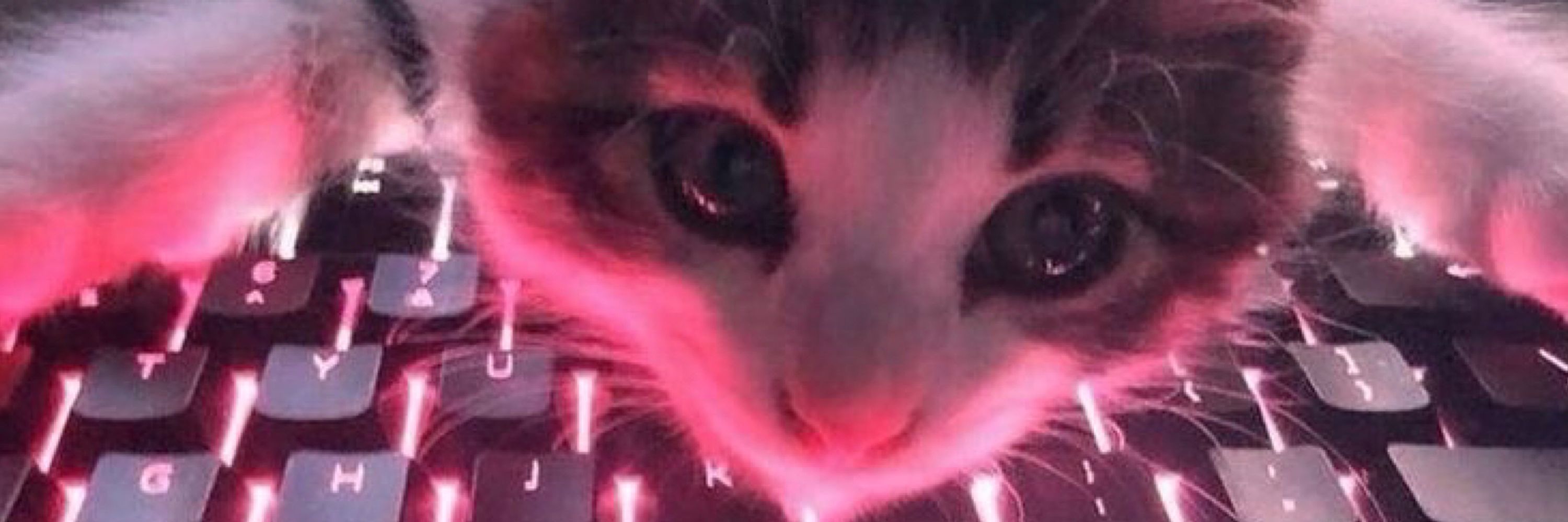 Poune