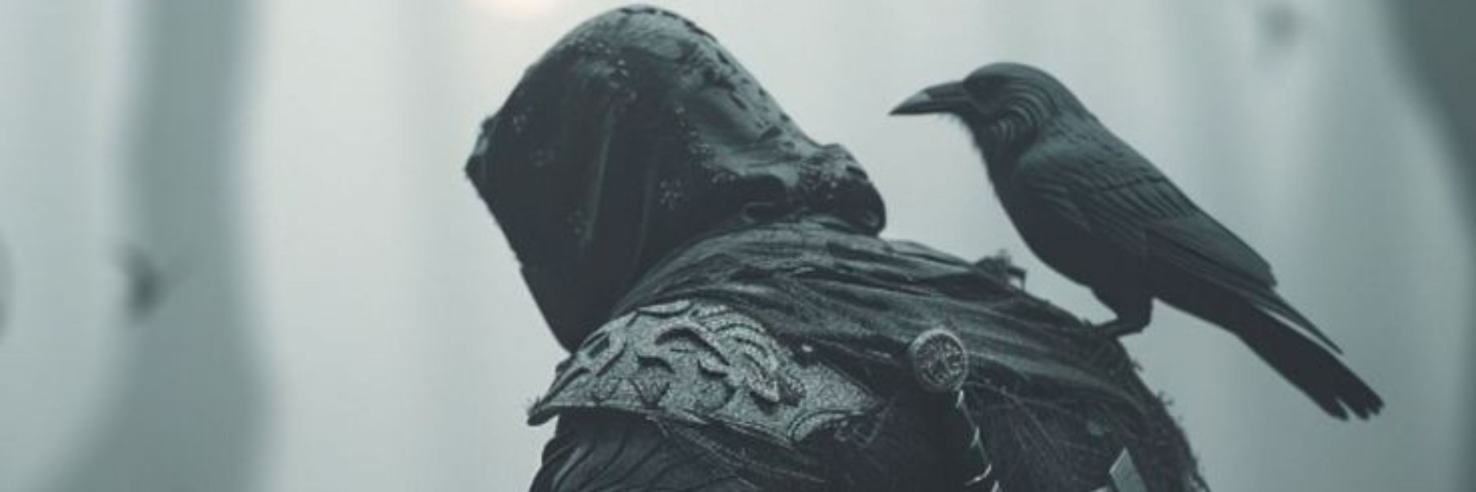 Deep Dark Raven