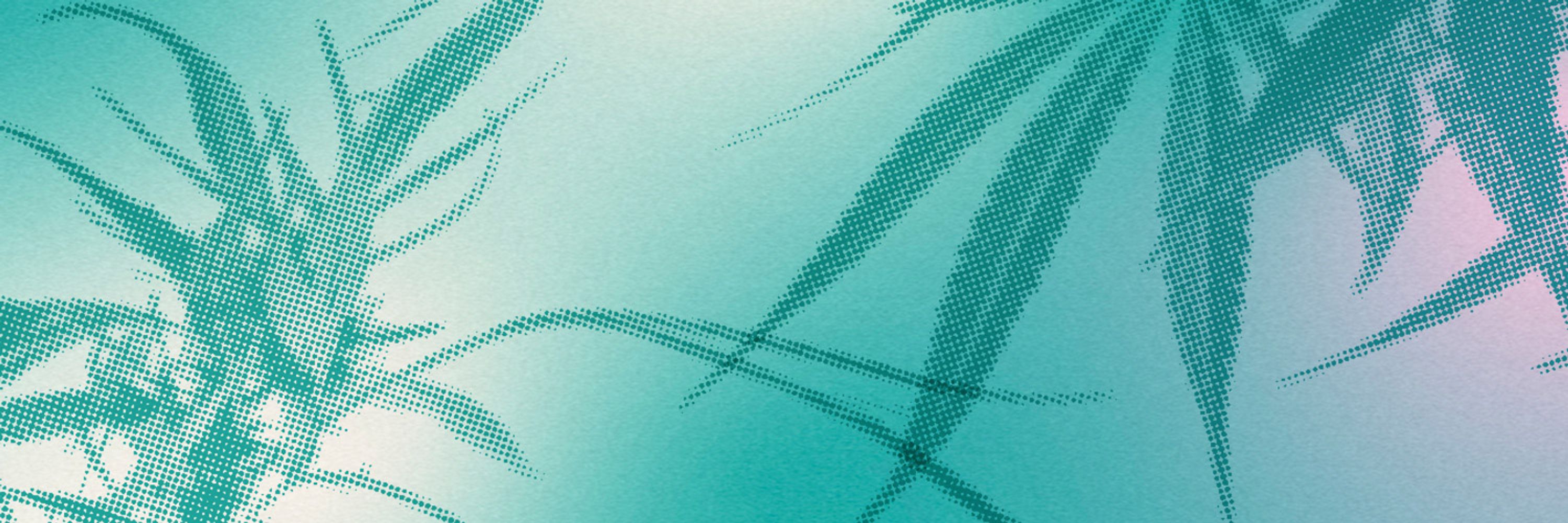 Hybrid Marketing Co