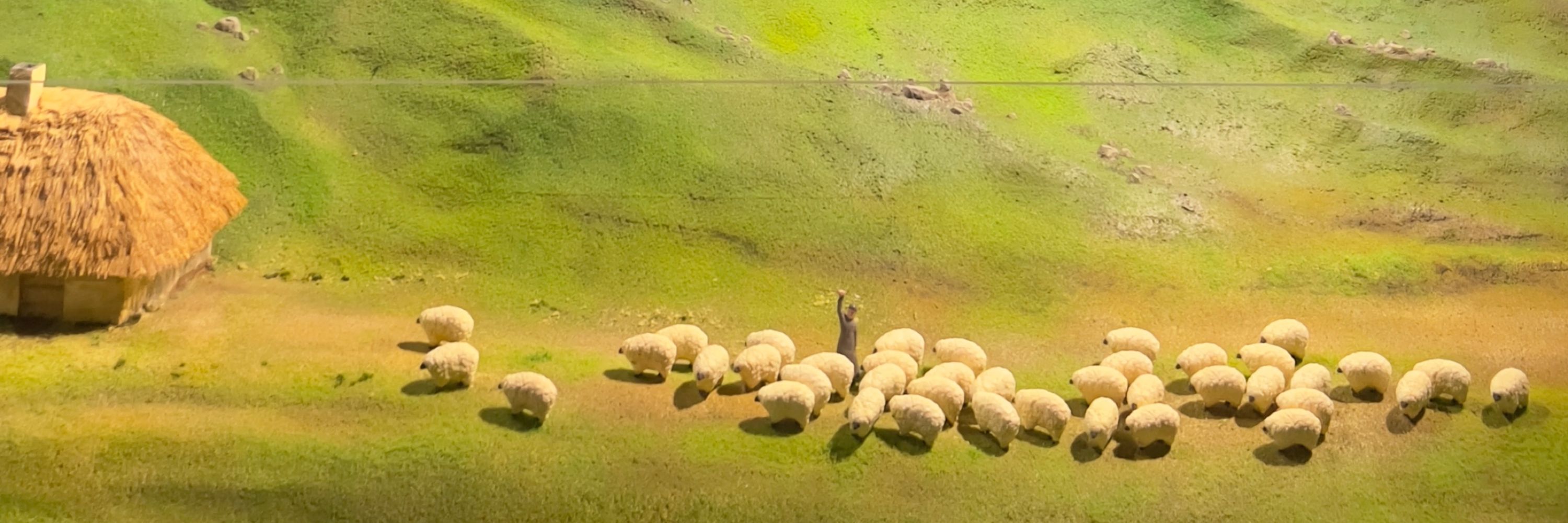 𝕕𝕖𝕒𝕣𝕤𝕙𝕩 ☁️🍃